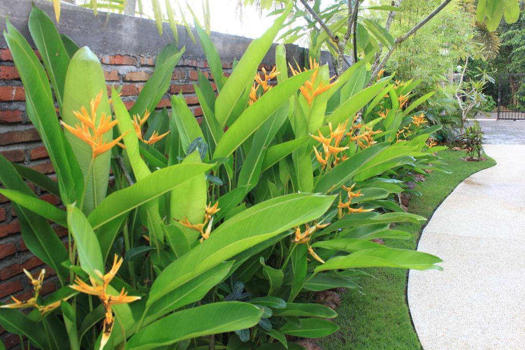 Albany Home Stay Kuta  Экстерьер фото